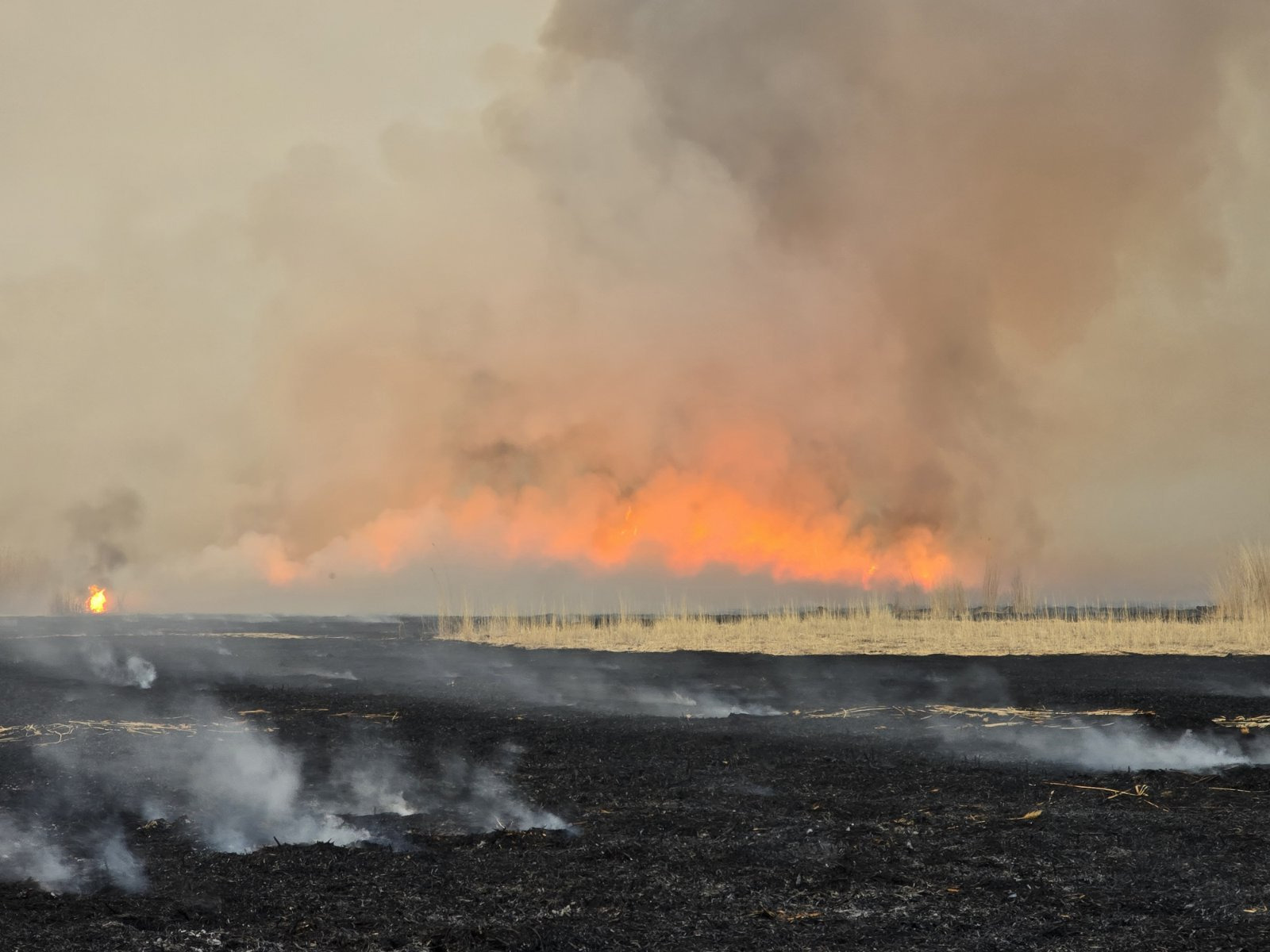 ОЙ, ХЭЭРИЙН 3 ГАЛ ТҮЙМРИЙГ УНТРААХААР АЖИЛЛАЖ БАЙНА